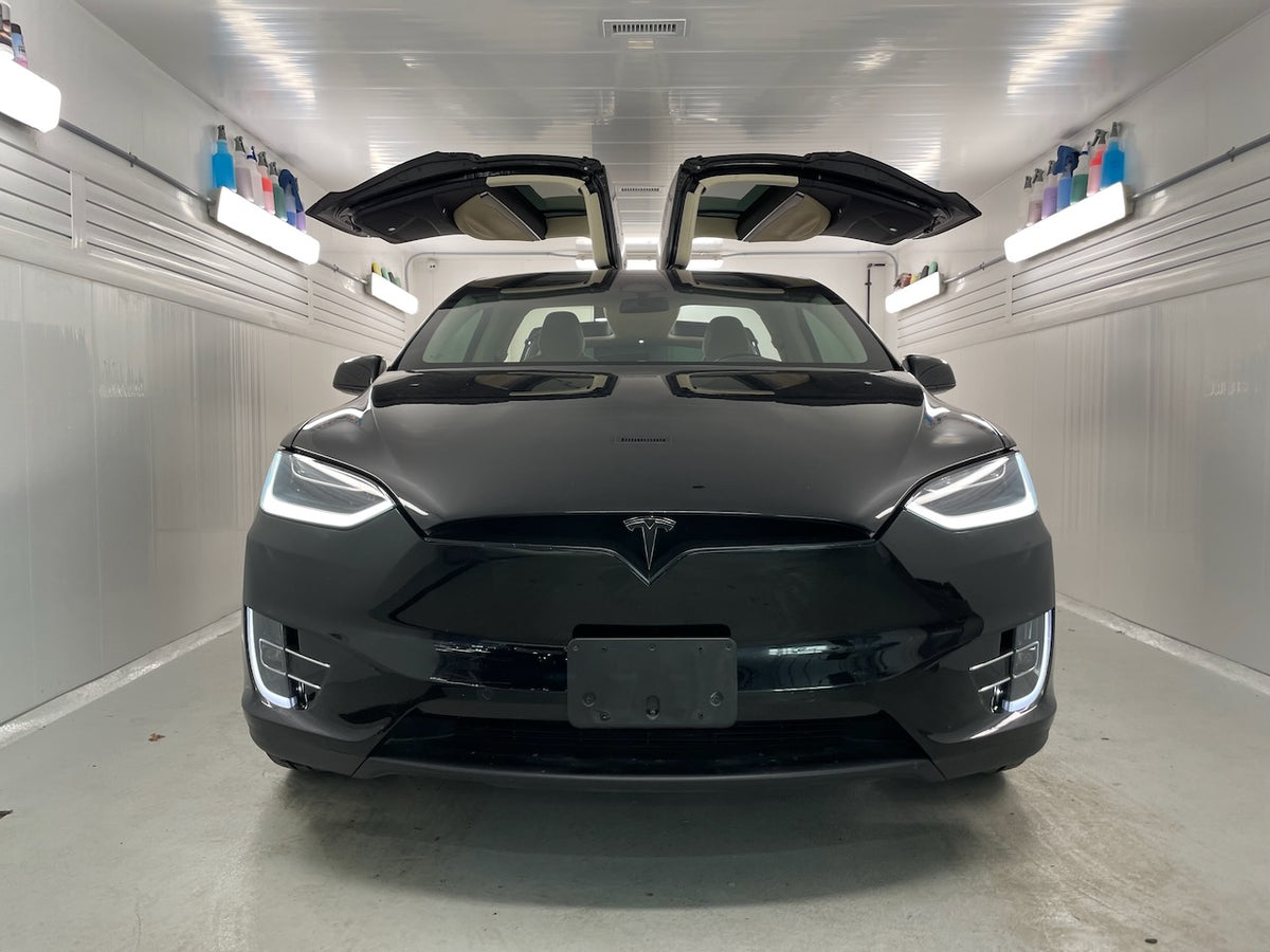 Model X
